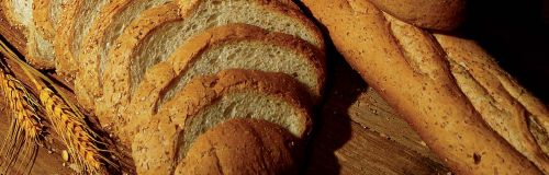 our daily bread