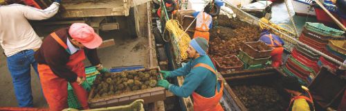 fair wages