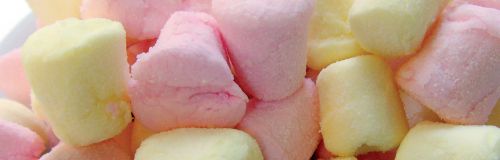 marshmallow test