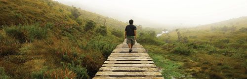 narrow road, eternal life