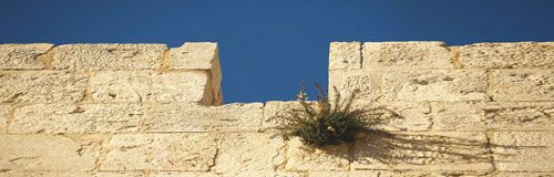 walls